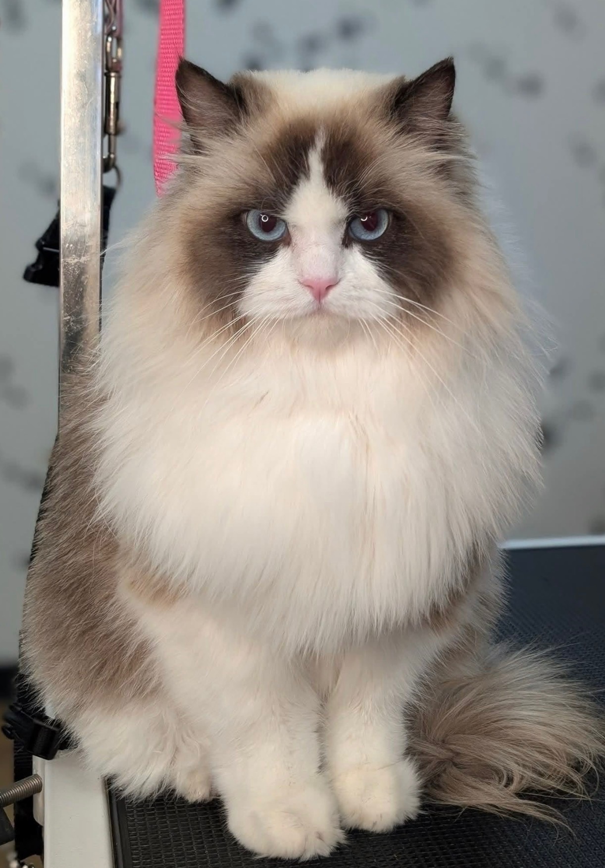 Bath and trim result