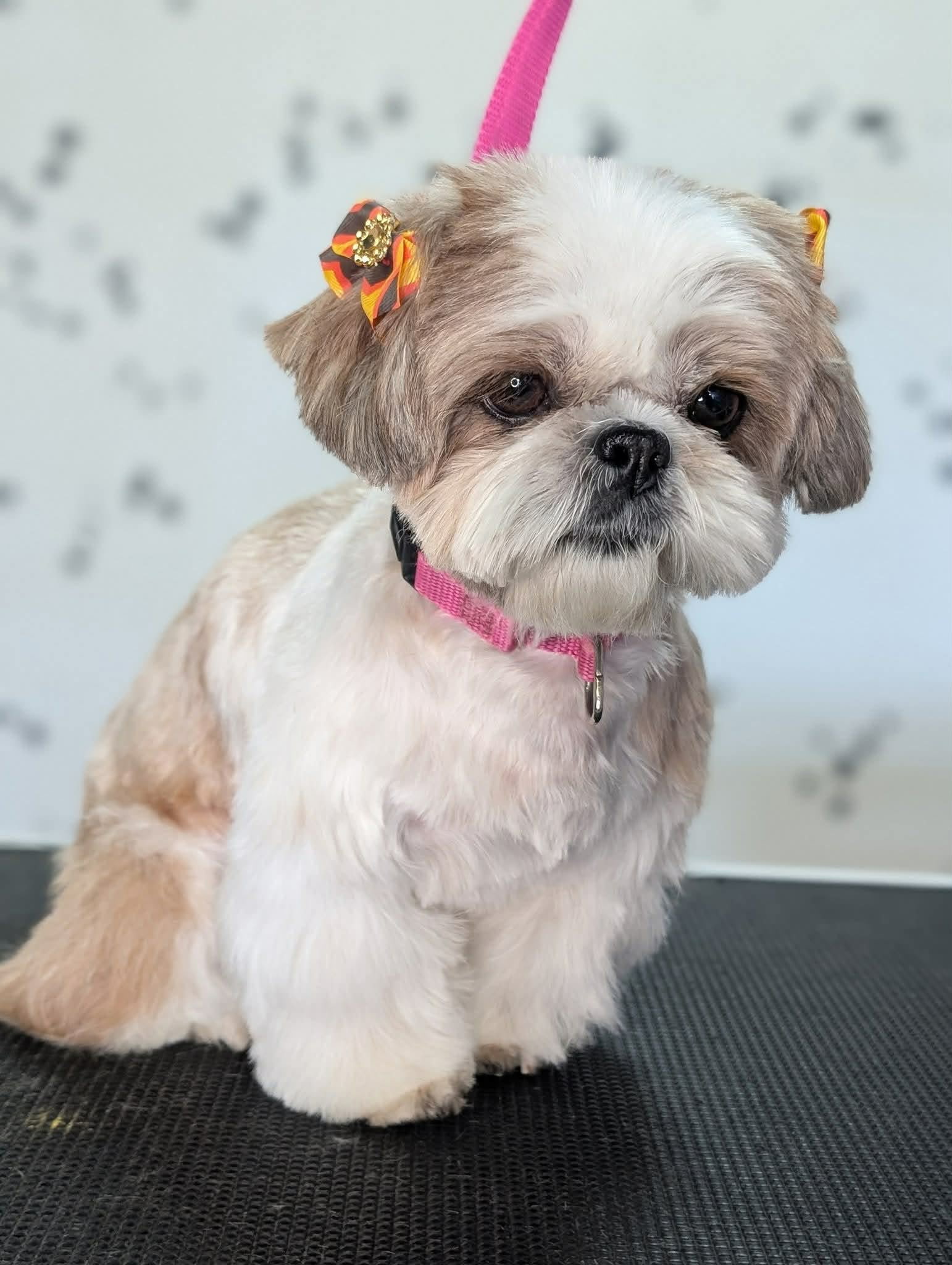 Critter Clips grooming